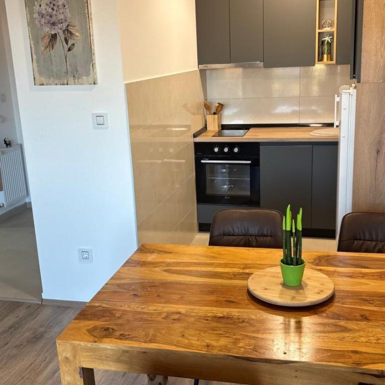 Apartman u srcu Banja Koviljaca 2 - Apartman sa 1 Spavaćom Sobom - 1