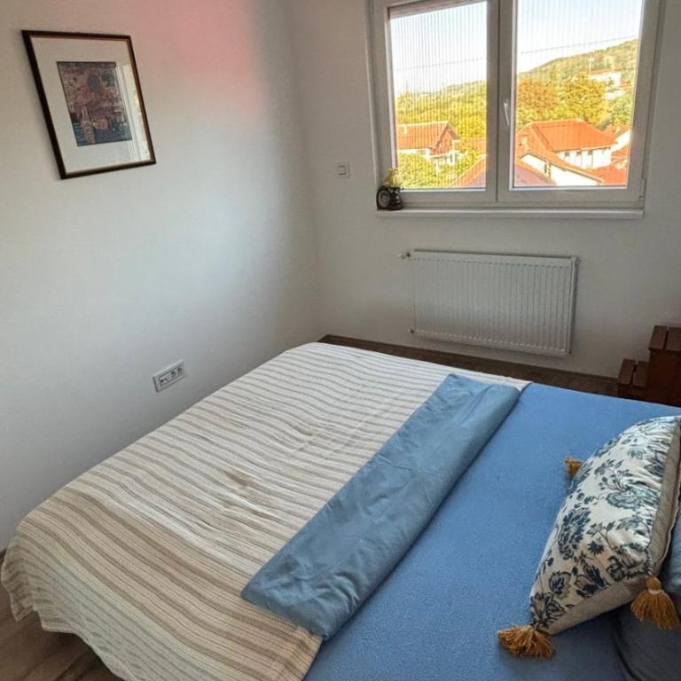 Apartman u srcu Banja Koviljaca 2 - Apartman sa 1 Spavaćom Sobom - 2