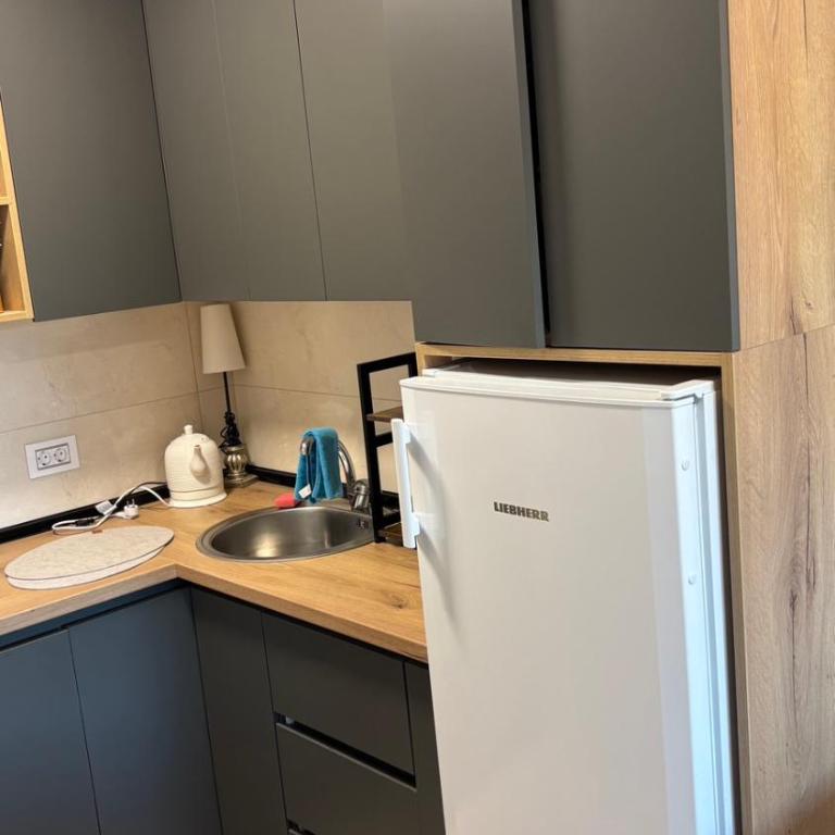 Apartman u srcu Banja Koviljaca 2 - Apartman sa 1 Spavaćom Sobom - 3