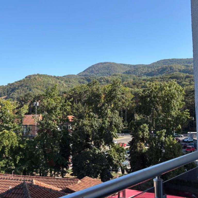 Apartman u srcu Banja Koviljaca 2 - Apartman sa 1 Spavaćom Sobom - 4