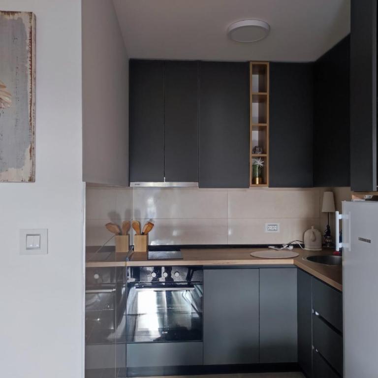 Apartman u srcu Banja Koviljaca 2 - Apartman sa 1 Spavaćom Sobom - 8