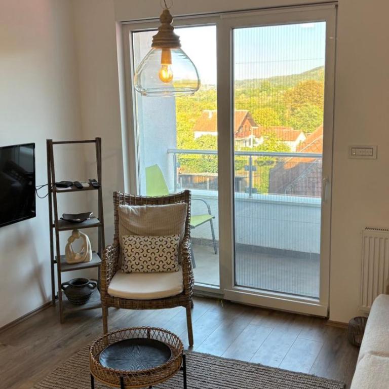 Apartman u srcu Banja Koviljaca 2 - Apartman sa 1 Spavaćom Sobom - 9