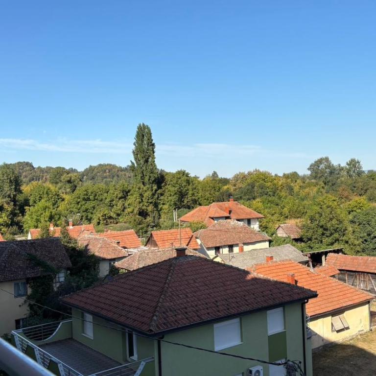Apartman u srcu Banja Koviljaca 2 - Apartman sa 1 Spavaćom Sobom - 10