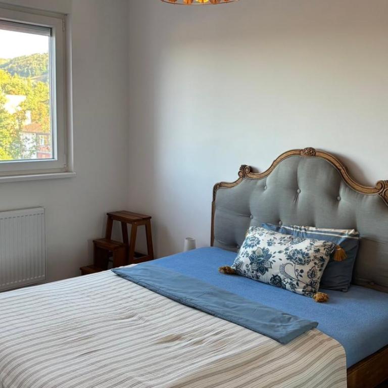 Apartman u srcu Banja Koviljaca 2 - Apartman sa 1 Spavaćom Sobom - 13