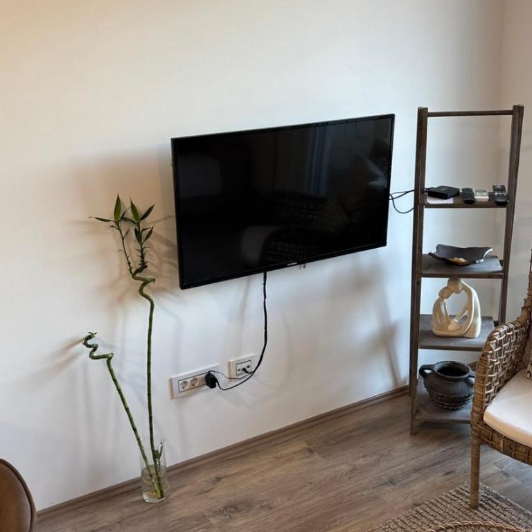 Apartman u srcu Banja Koviljaca 2 - Apartman sa 1 Spavaćom Sobom - 19
