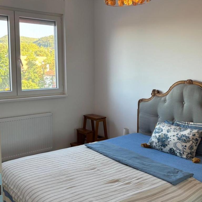 Apartman u srcu Banja Koviljaca 2 - Apartman sa 1 Spavaćom Sobom - 24