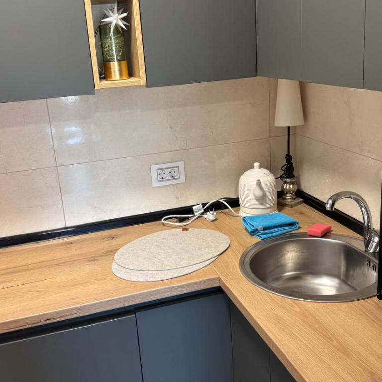 Apartman u srcu Banja Koviljaca 2 - Apartman sa 1 Spavaćom Sobom - 25