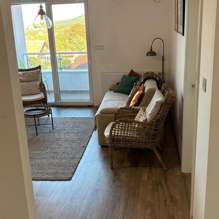 Apartman u srcu Banja Koviljaca 2 - Apartman sa 1 Spavaćom Sobom - 29