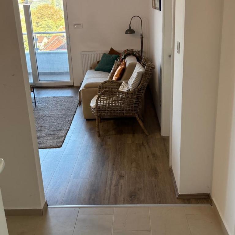 Apartman u srcu Banja Koviljaca 2 - Apartman sa 1 Spavaćom Sobom - 31