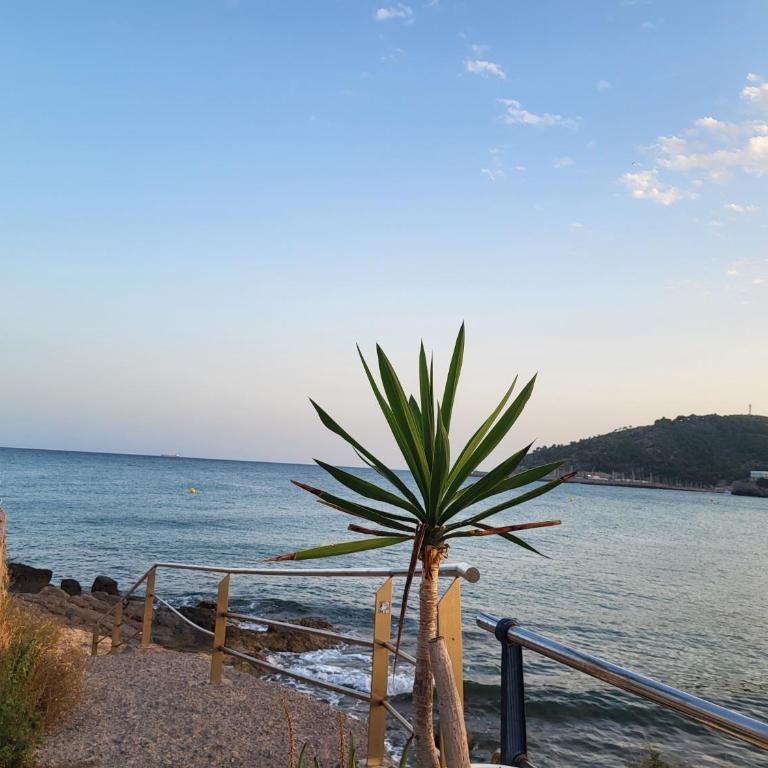 Oropesa Del mar - Marina d'Or - Appartement 2 chambres - 7eme étage- terrasse sud- Oropesa Del Mar - Apartment mit 2 Schlafzimmern - 38