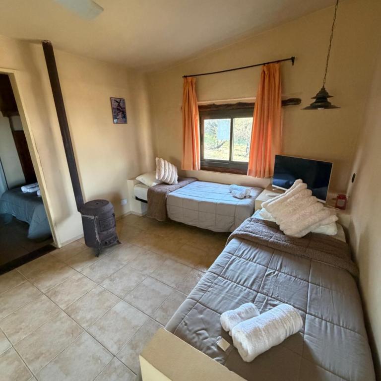 Refugio 17 - Cabañas & Suites de montaña en Falda del Carmen - Casa - 17