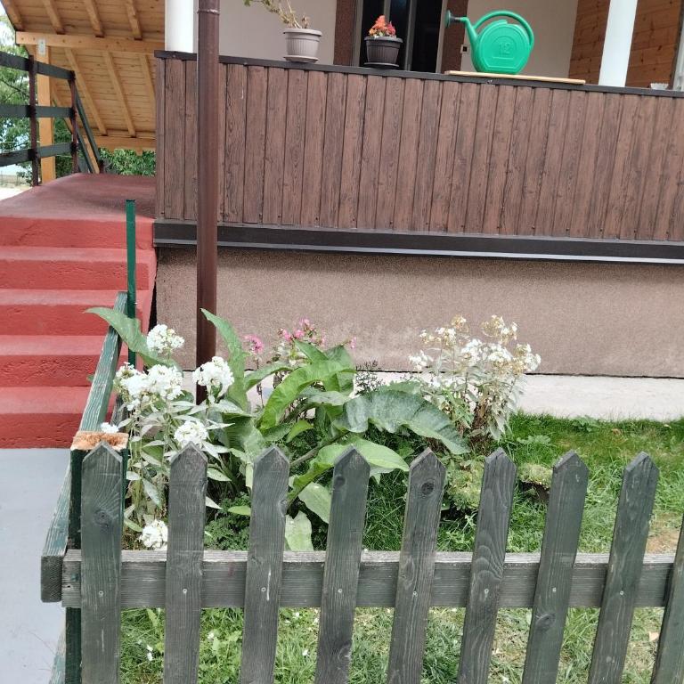 Petkovic Guesthouse - Studio-Apartment - 14