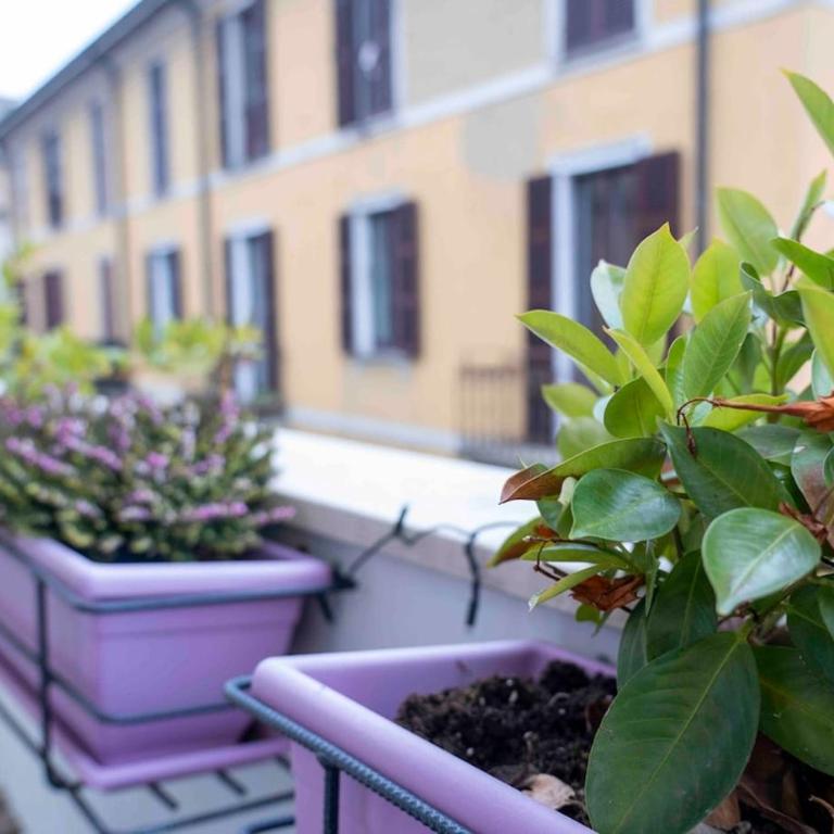 Sunny apartment Como 15m walking from the lake - Apartment mit 1 Schlafzimmer - 9
