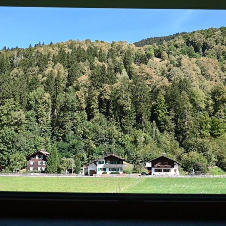 Bauernhaus-Charme & Bergblick in Schruns - Apartamento de 2 dormitorios - 7
