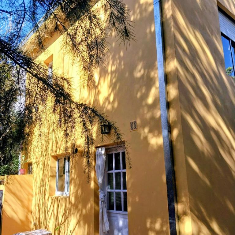 Verde Silencio - Apartamento de 1 dormitorio - 2