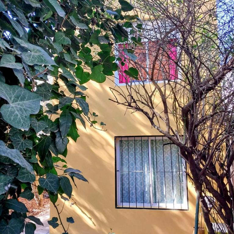 Verde Silencio - Apartamento de 1 dormitorio - 3