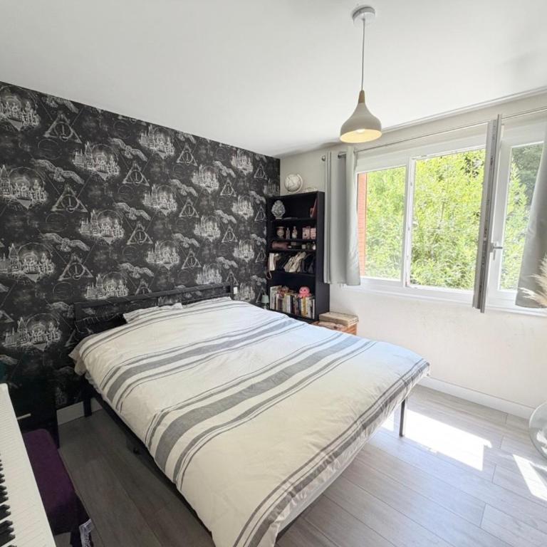 T3 chaleureux - centre ville - Appartement 2 Chambres - 4
