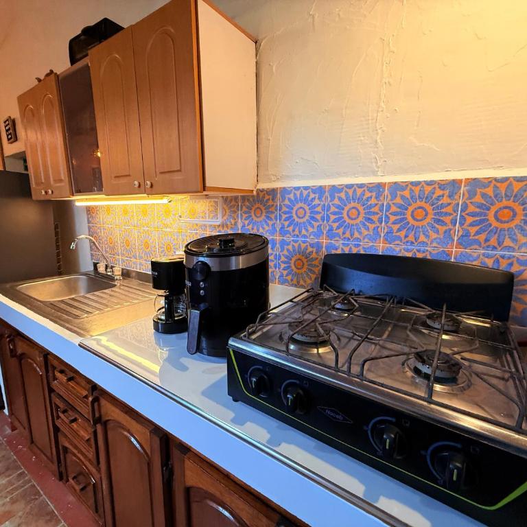 Galicia, cabaña junto a un bosque y a Cascada - Casa de 4 dormitorios - 23