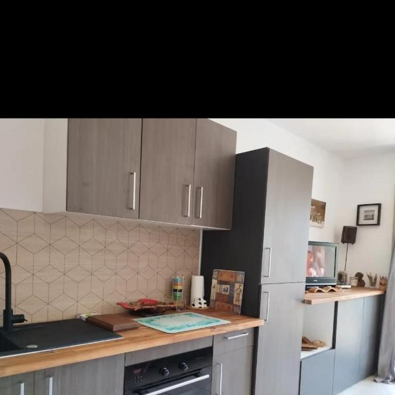Gréolières 1400 studio 4 personnes - Appartement 2 Chambres - 13