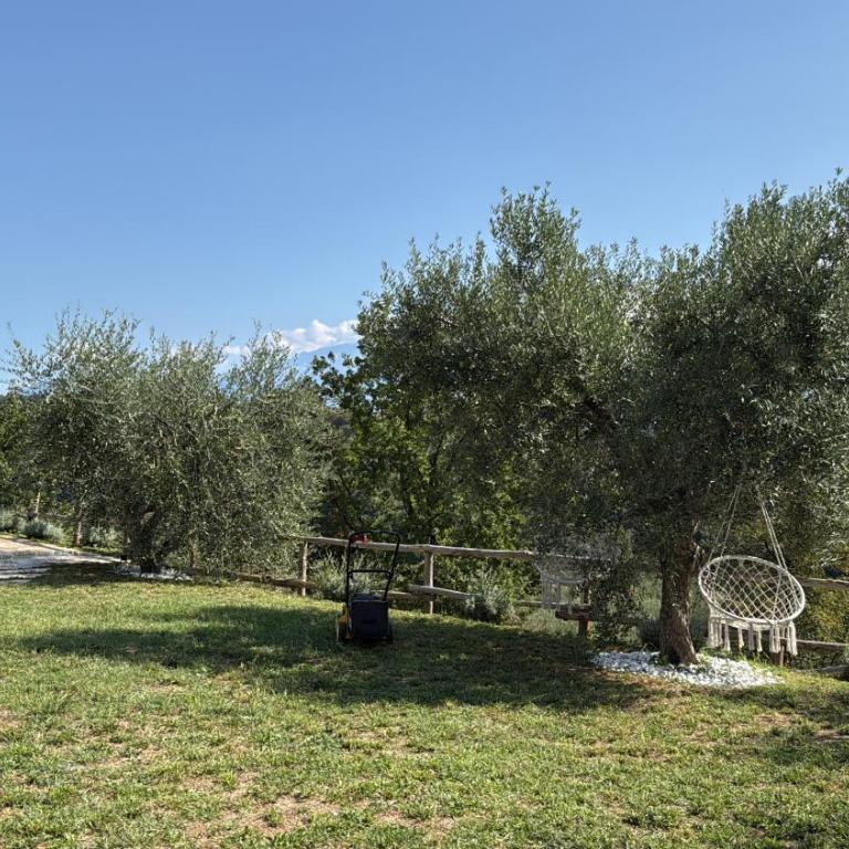 Dream Gardasee Chalet con giardino mediterraneo - Four-Bedroom House - 84