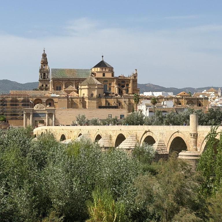 Ático Aguayos con terraza y cuatro dormitorios. - Apartment - 66