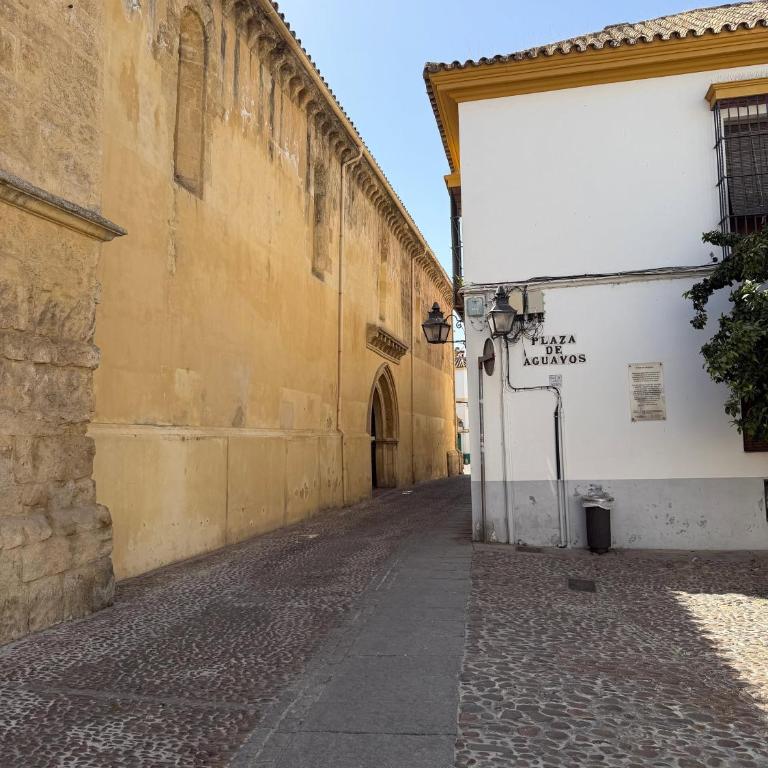 Ático Aguayos con terraza y cuatro dormitorios. - Apartment - 67
