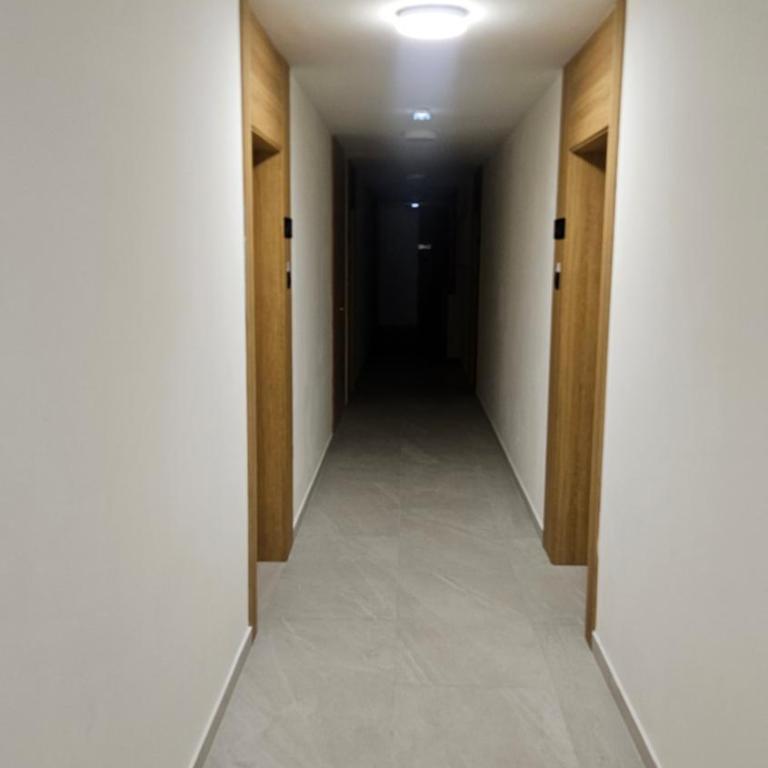 Apartman PAVLOVIC LUX 3 - Apartman sa 1 Spavaćom Sobom - 40