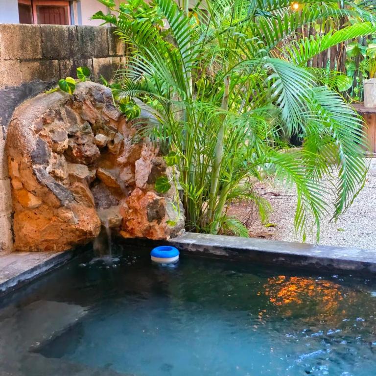Colonial house in the historic center, Valladolid - Two-Bedroom House - 18