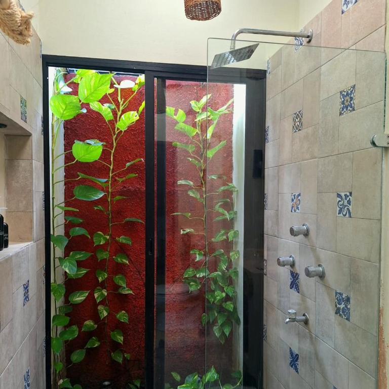 Colonial house in the historic center, Valladolid - Two-Bedroom House - 33