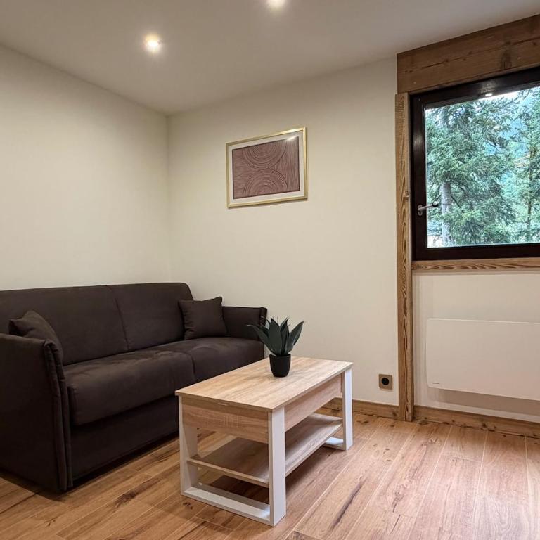 Studio lumineux au cœur de St-Gervais - Parking - Appartement 2 Chambres - 8