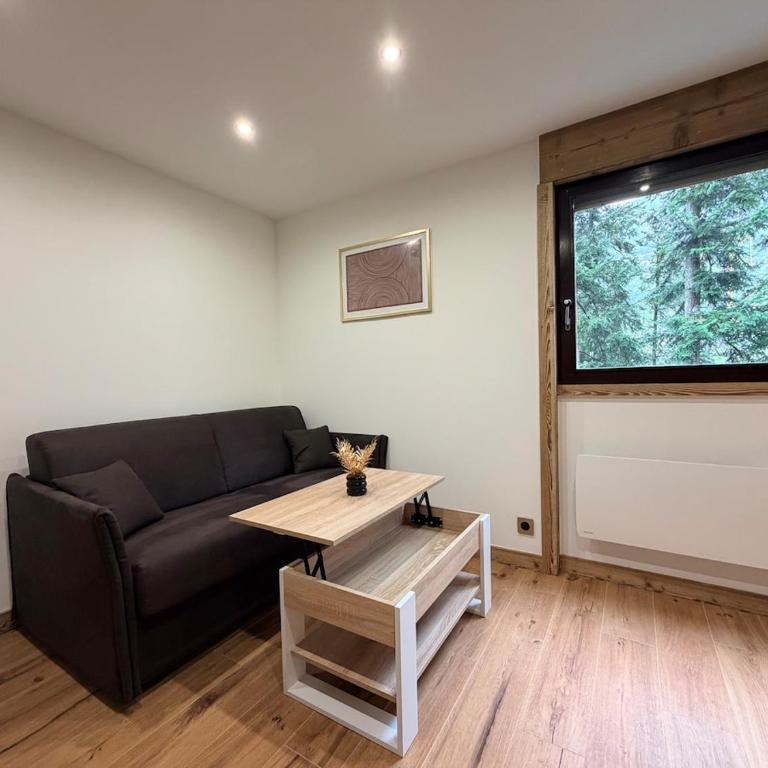 Studio lumineux au cœur de St-Gervais - Parking - Appartement 2 Chambres - 20