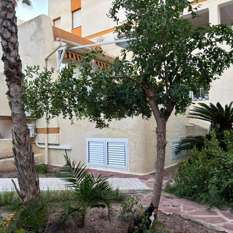 Casa Albufera - Apartment - 18