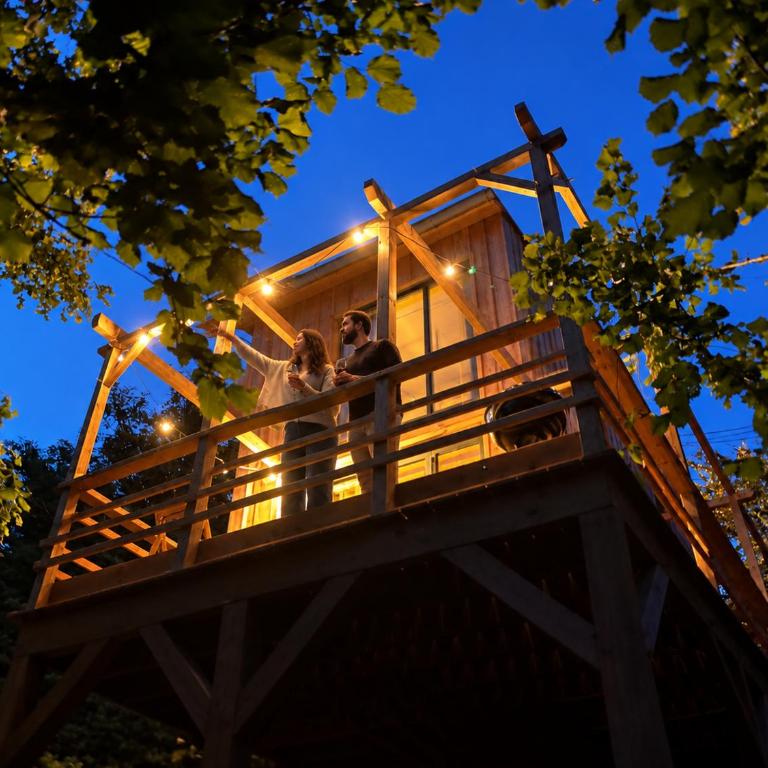 L'Observatoire Sauvage - Climatisation - Nature - Insolite - Amboise - Maison 1 Chambre - 1