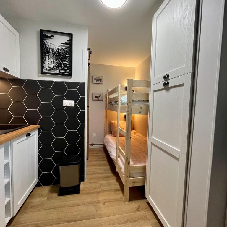 Studio Saint Lary Soulan Pieds des pistes - Appartement 1 Chambre - 8