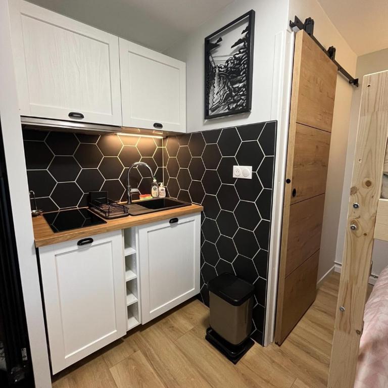 Studio Saint Lary Soulan Pieds des pistes - Appartement 1 Chambre - 7