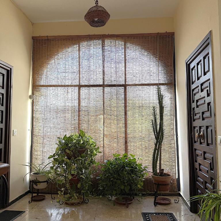 Ático Aguayos con terraza y cuatro dormitorios. - Apartment - 15