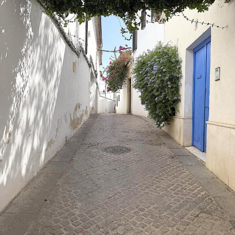 Ático Aguayos con terraza y cuatro dormitorios. - Apartment - 17