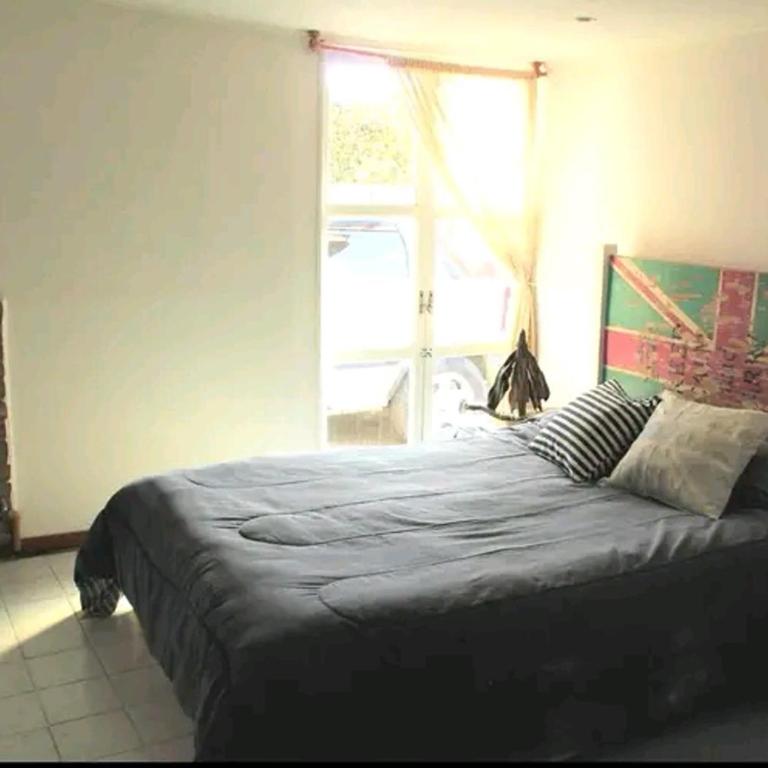Alojamiento Mayorga - Apartamento de 2 dormitorios - 8