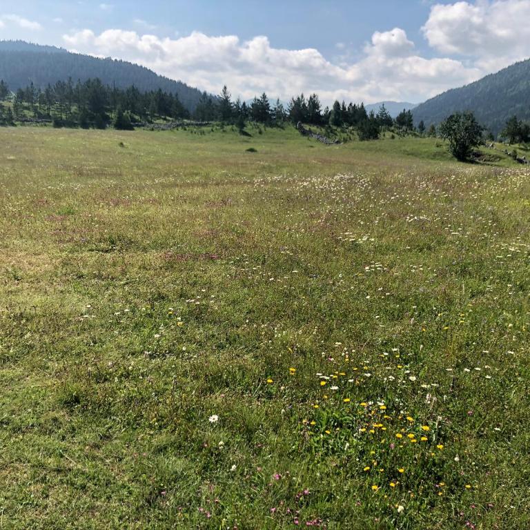 Ranč Doline - Kuća sa 1 Spavaćom Sobom - 25