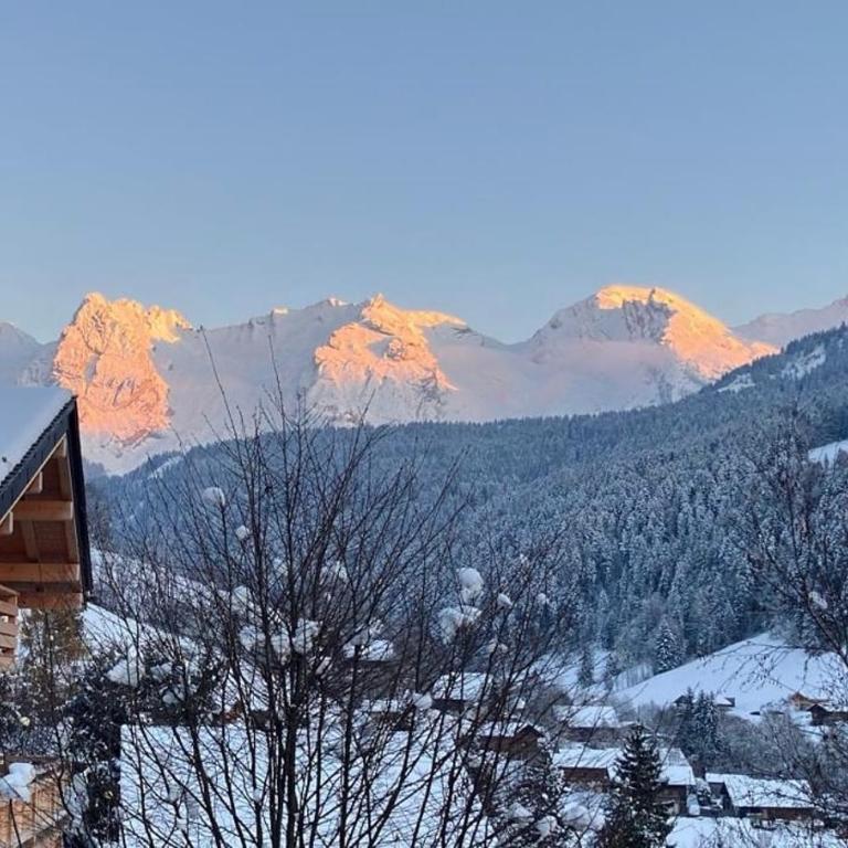 Appartement dans un chalet - Appartement 2 Chambres - 7