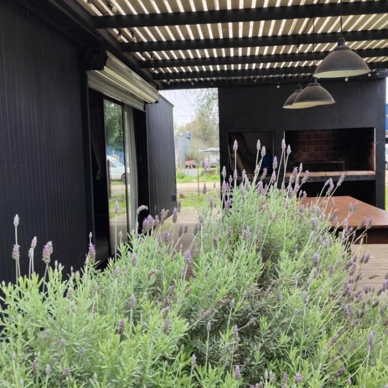 Casita Carbon - Two-Bedroom House - 1