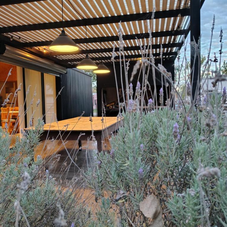 Casita Carbon - Two-Bedroom House - 5