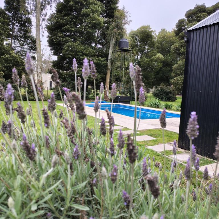 Casita Carbon - Two-Bedroom House - 17