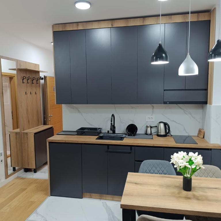 Apartman Aleksa Balkan Square Centar - Studio Apartment with Queen Bed - 36