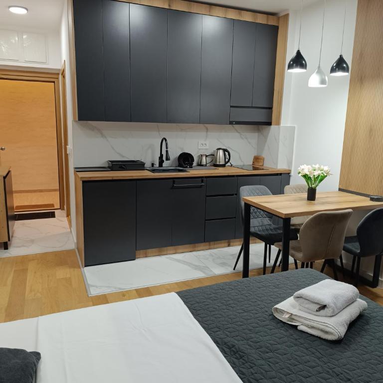 Apartman Aleksa Balkan Square Centar - Studio Apartment with Queen Bed - 46