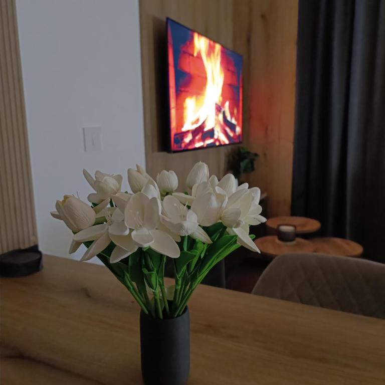 Apartman Aleksa Balkan Square Centar - Studio Apartment with Queen Bed - 52