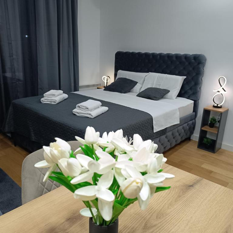 Apartman Aleksa Balkan Square Centar - Studio Apartment with Queen Bed - 2