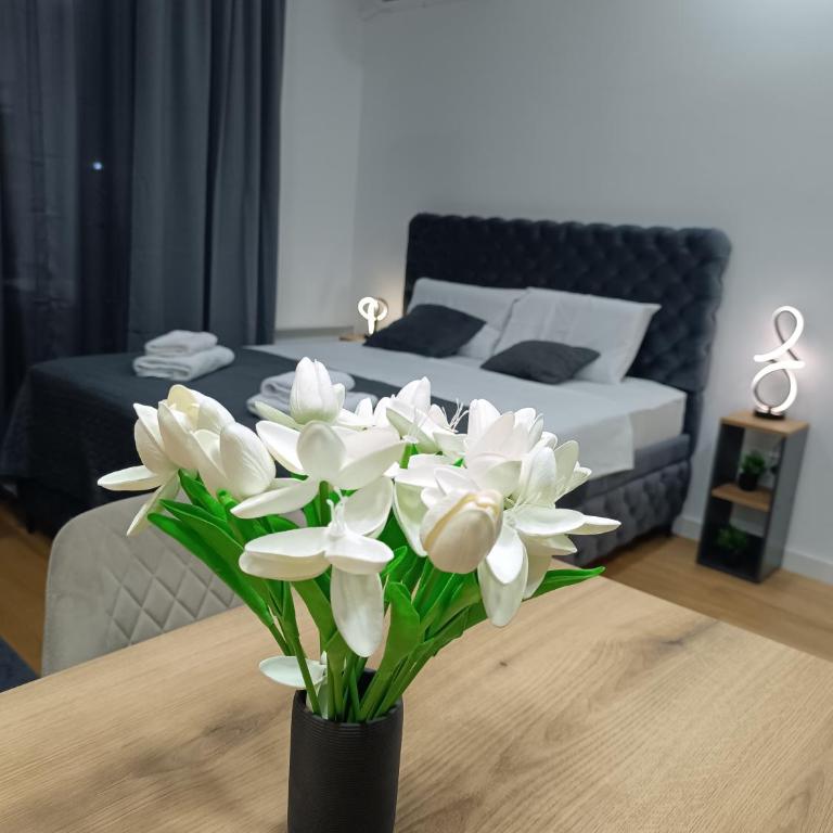 Apartman Aleksa Balkan Square Centar - Studio Apartment with Queen Bed - 51
