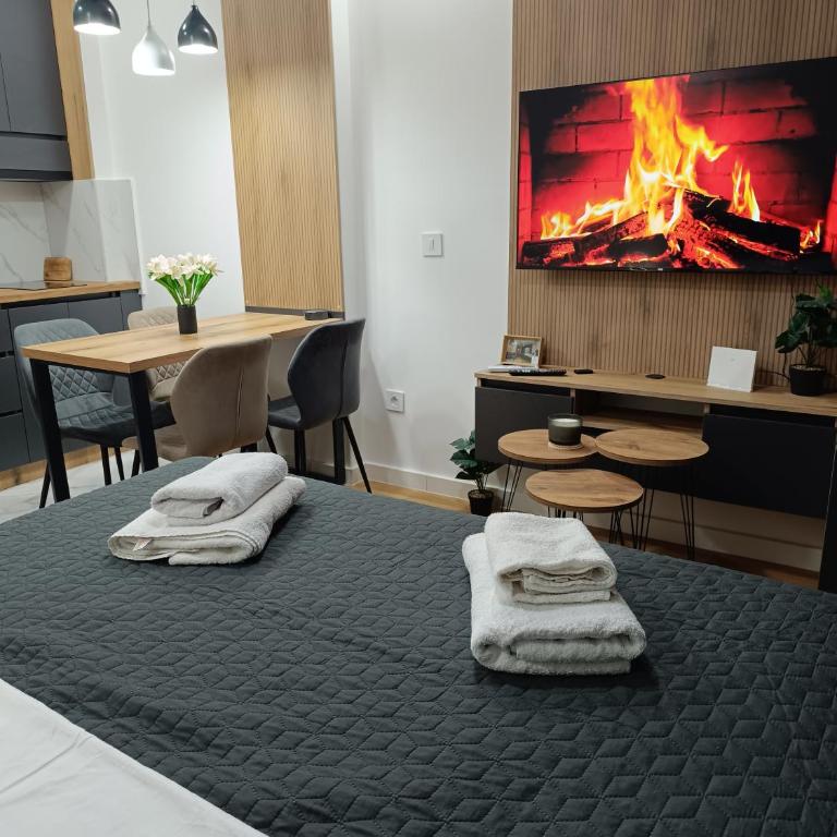 Apartman Aleksa Balkan Square Centar - Studio Apartment with Queen Bed - 57