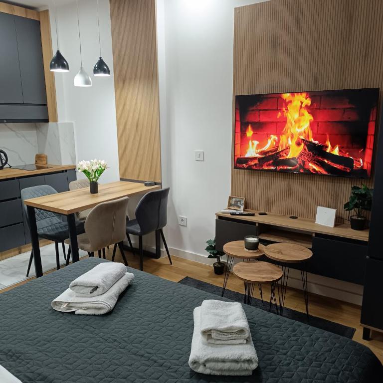 Apartman Aleksa Balkan Square Centar - Studio Apartment with Queen Bed - 58
